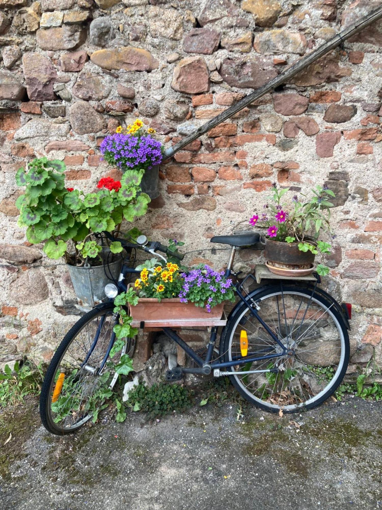 Joli Gite 2 Personnes En Alsace Guemar Exterior photo